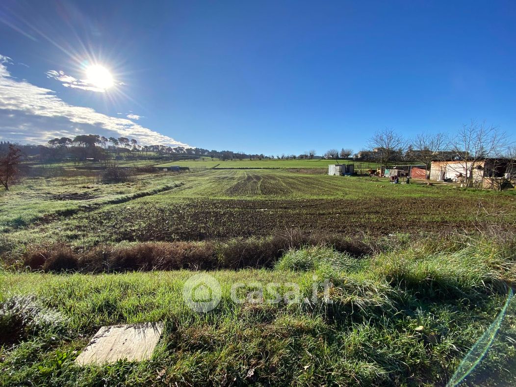 Terreno agricolo in Vendita in Via della Rana a Perugia
