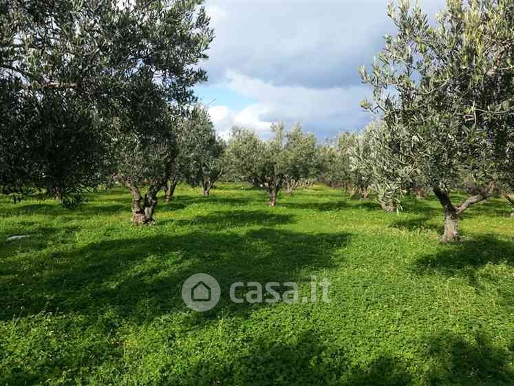 Terreno agricolo in Vendita in a Balestrate