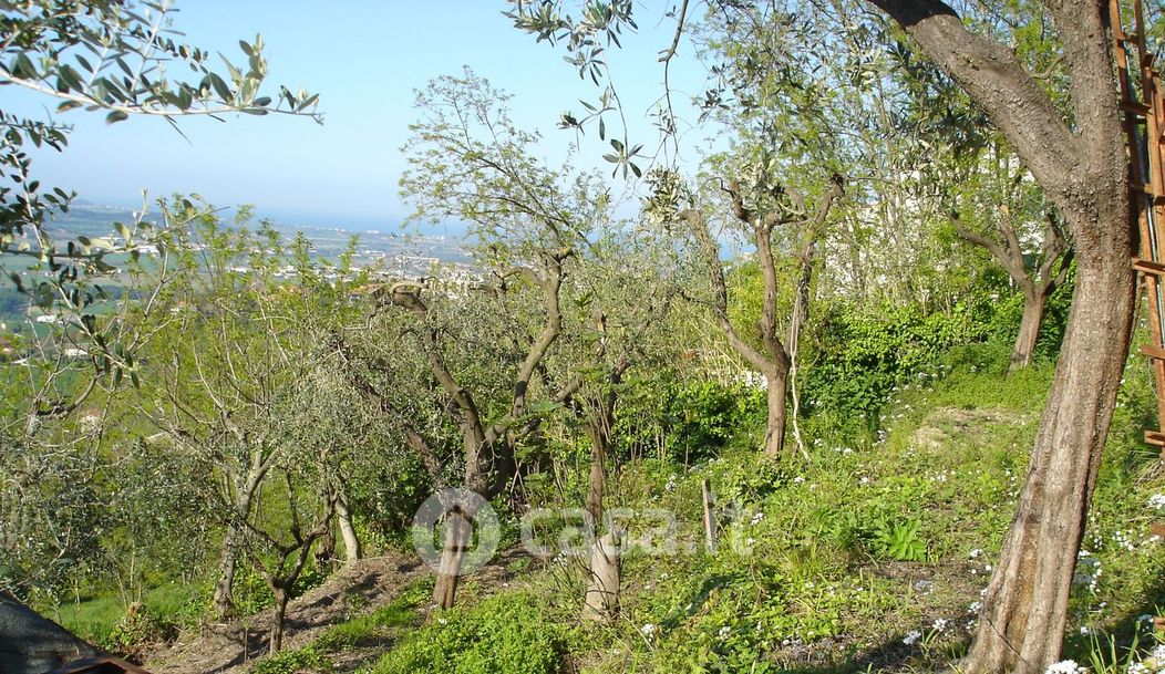 Terreno agricolo in Affitto in San Francesco a Recanati