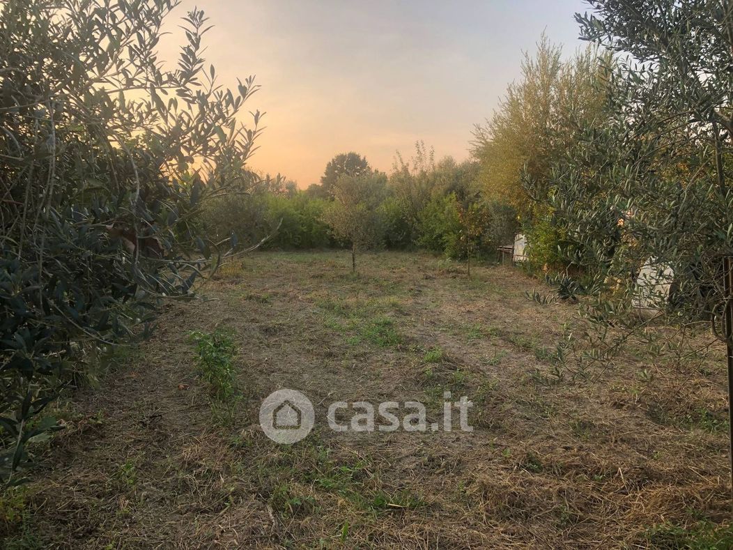 Terreno agricolo in Vendita in Via Giuseppe Montanelli a Pisa