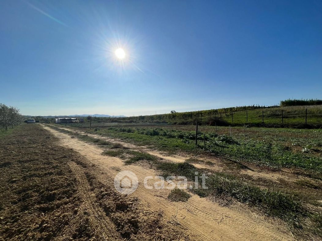 Terreno agricolo in Vendita in Via Aldo Moro 356 a Crespina Lorenzana