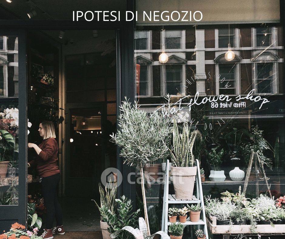 Negozio/Locale commerciale in Affitto in Calle dei Berlani a Chioggia