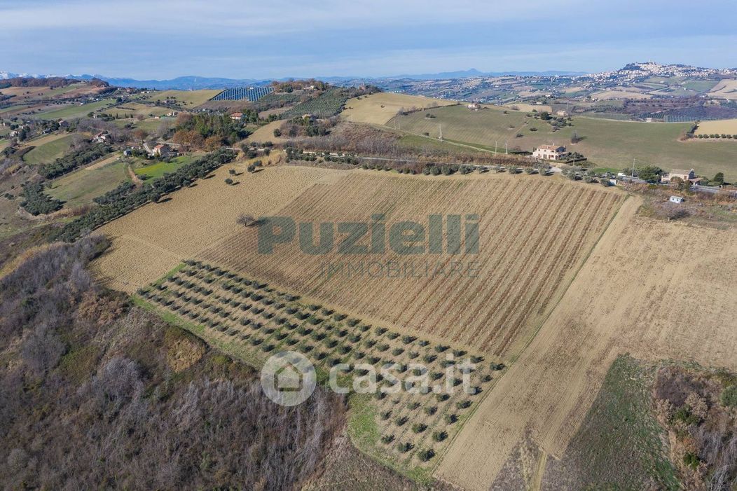 Terreno agricolo in Vendita in Via Piemarano a Lapedona