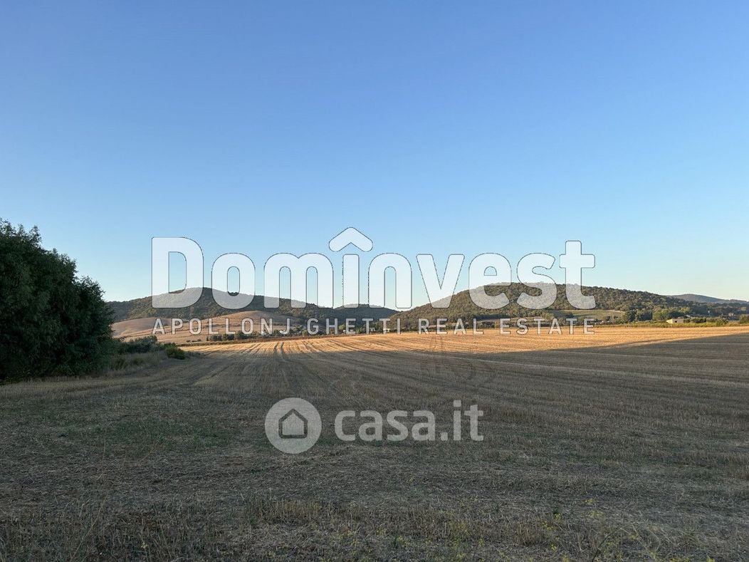 Terreno agricolo in Vendita in Via Pescia Fiorentina a Capalbio