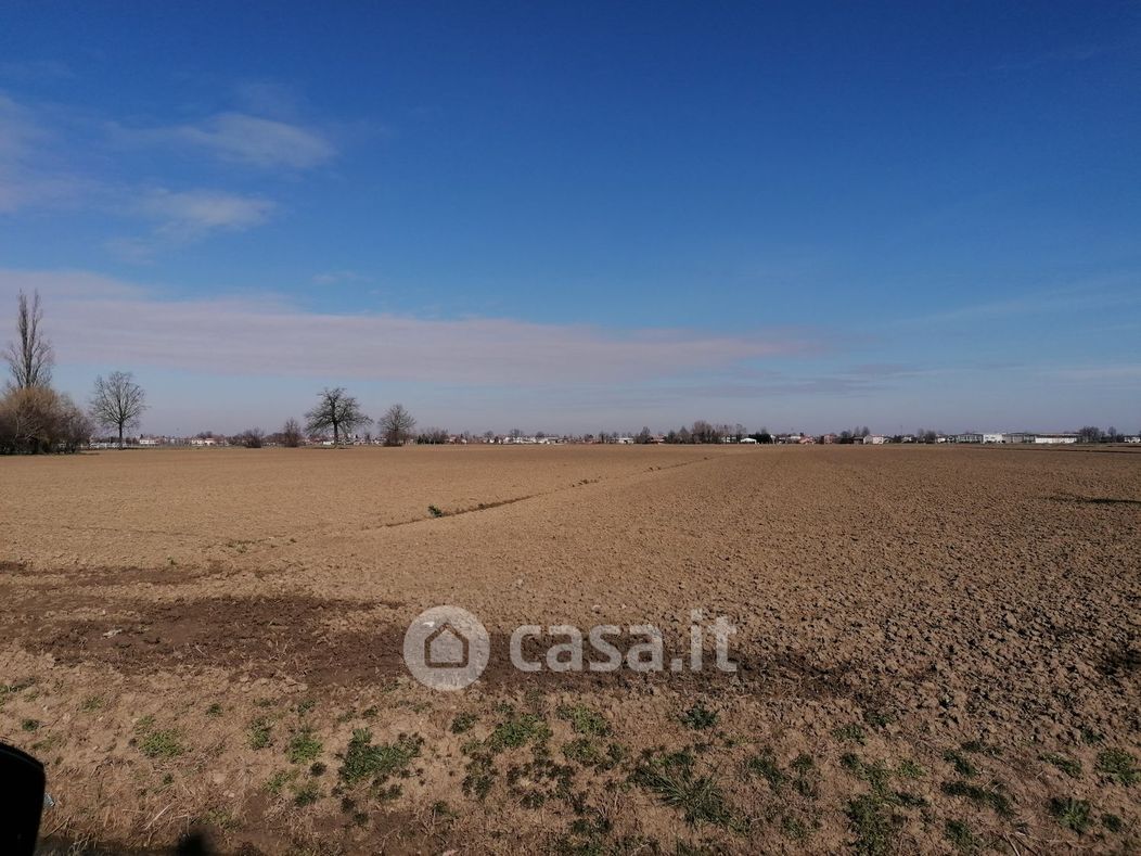 Terreno agricolo in Vendita in Via valloni a Gussola
