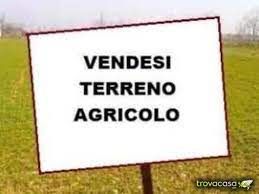 Terreno agricolo in Vendita in Via Leonino da Zara a Venezia