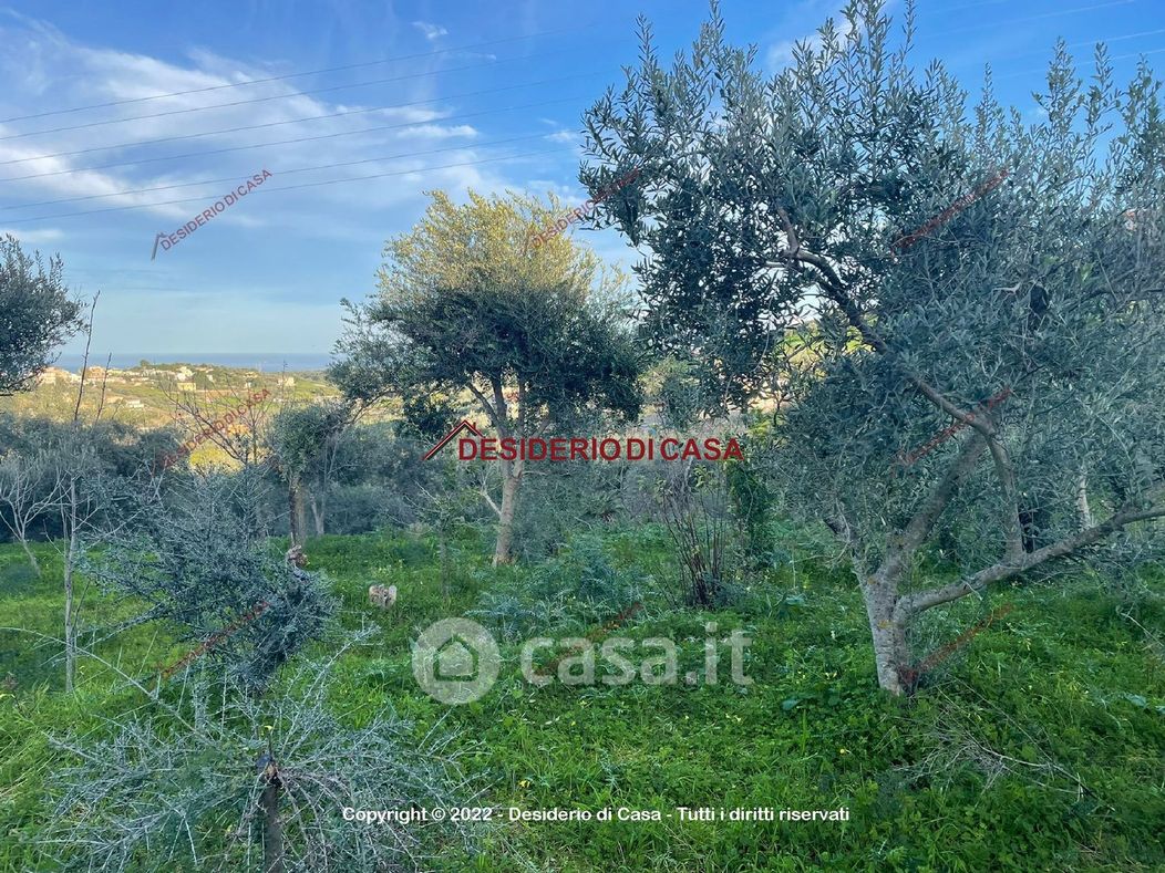Terreno agricolo in Vendita in Comunale Torre Amalfitano a Bagheria