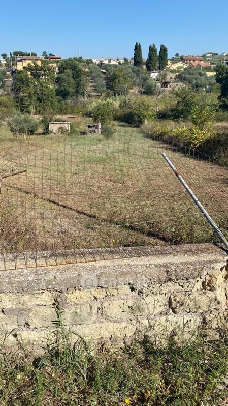 Terreno agricolo in Vendita in Via di Colle Pizzuto a Frascati