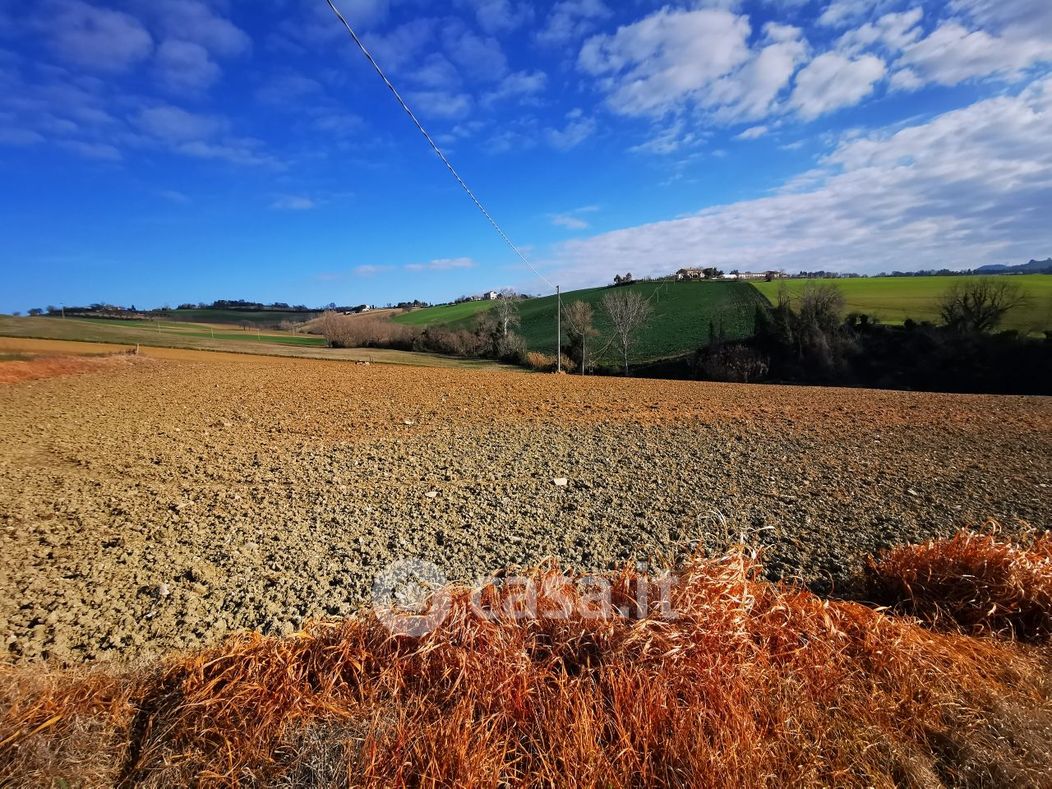 Terreno agricolo in Vendita in Via Pietrolone a Santa Maria Nuova