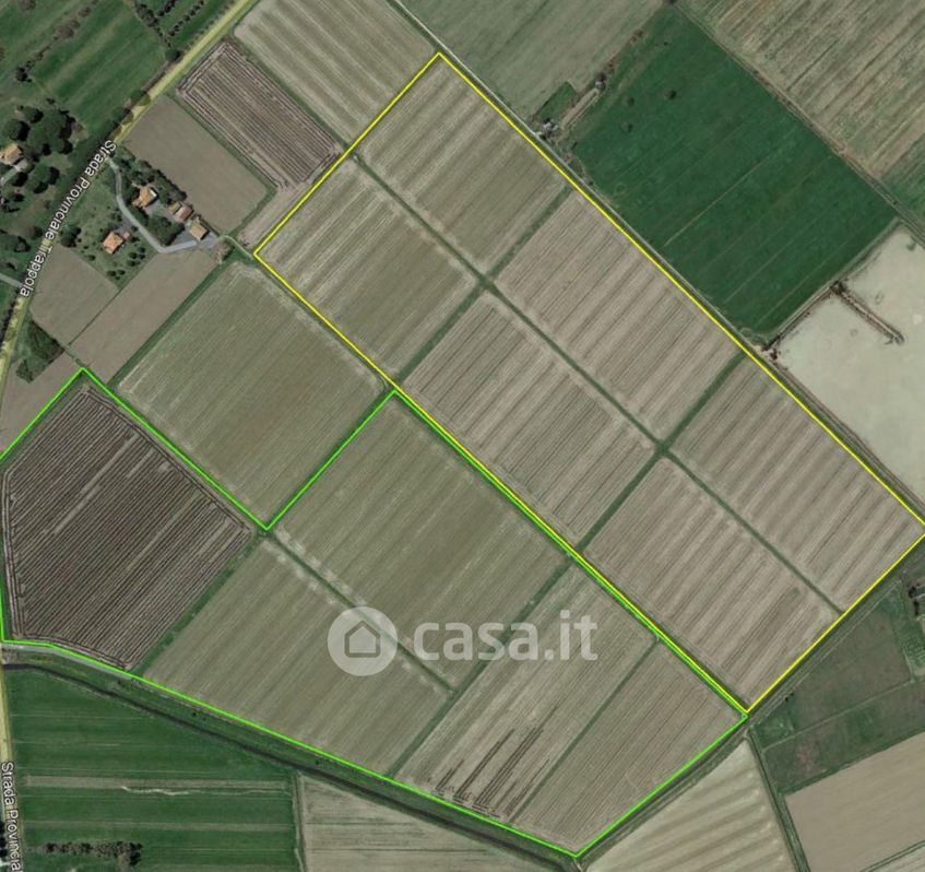 Terreno agricolo in Vendita in Strada Provinciale La trappola a Grosseto