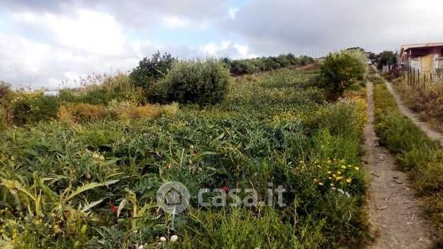 Terreno agricolo in Vendita in Via IV Finaite 10 a Casteldaccia