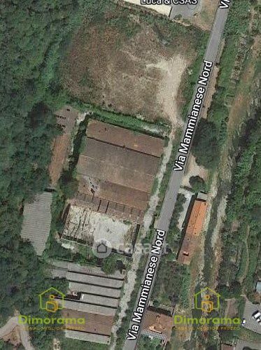 Terreno edificabile in Vendita in Strada Provinciale Mammianese a Pescia