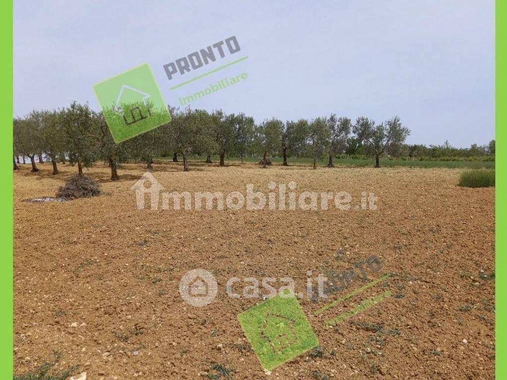 Terreno agricolo in Vendita in Via matera a Altamura