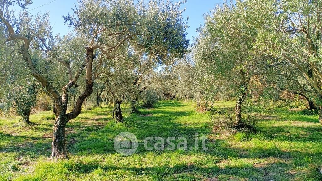 Terreno agricolo in Vendita in Via Boi Fornase a Caprino Veronese