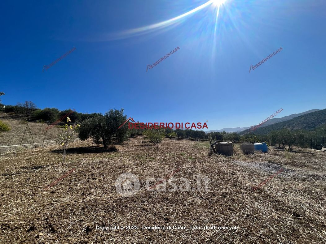 Terreno agricolo in Vendita in SP134 a Casteldaccia