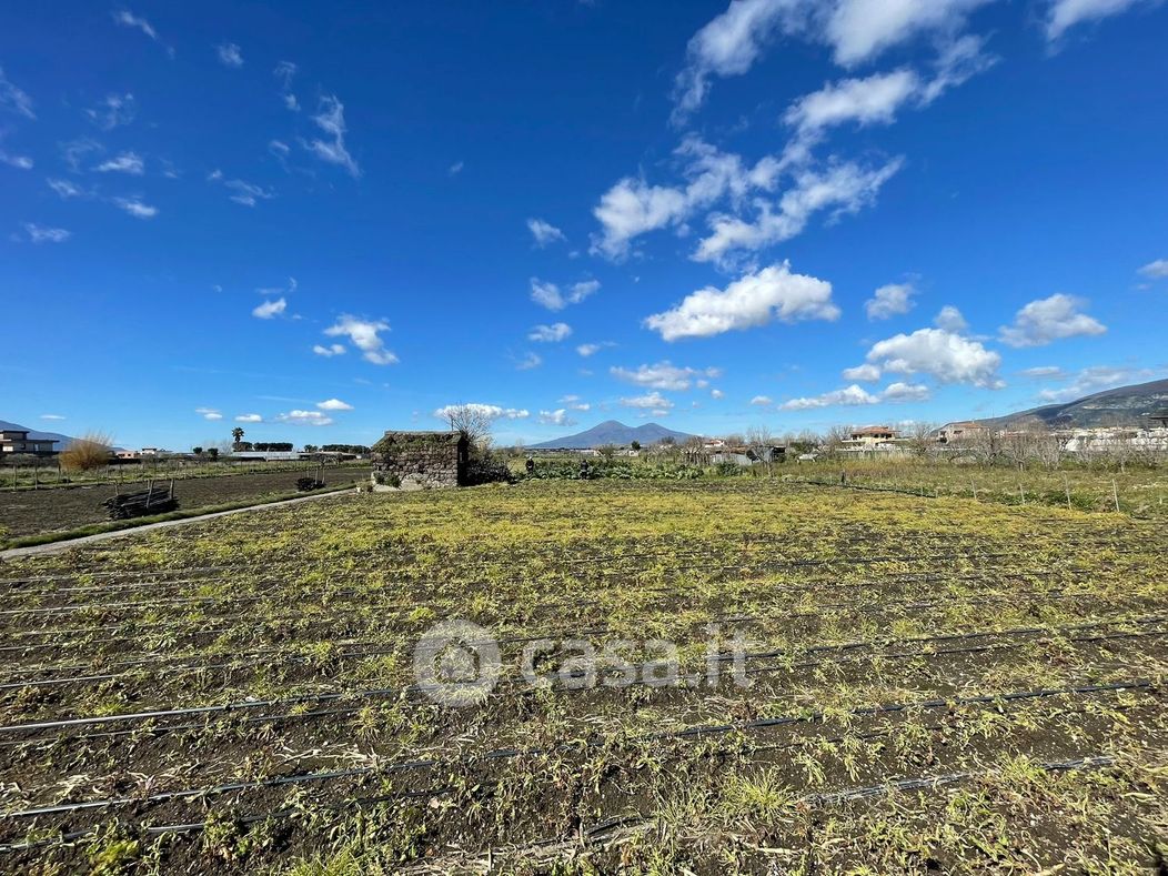Terreno agricolo in Vendita in Via Fiano a Nocera Inferiore