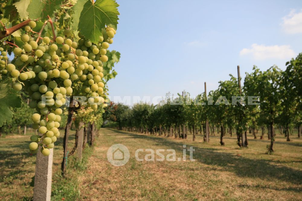 Terreno agricolo in Vendita in Via Giosuè Carducci 125 a Castenedolo