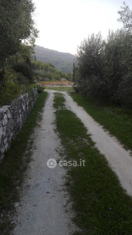 Terreno agricolo in Vendita in Via Saline a Tregnago