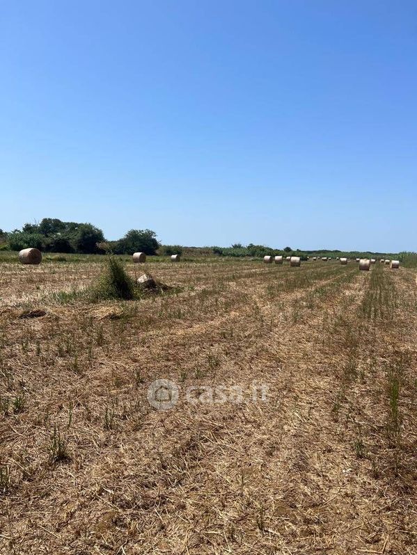 Terreno agricolo in Vendita in a Castagneto Carducci