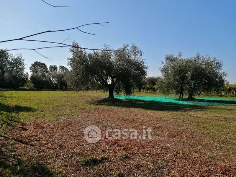 Terreno agricolo in Vendita in a Lanuvio