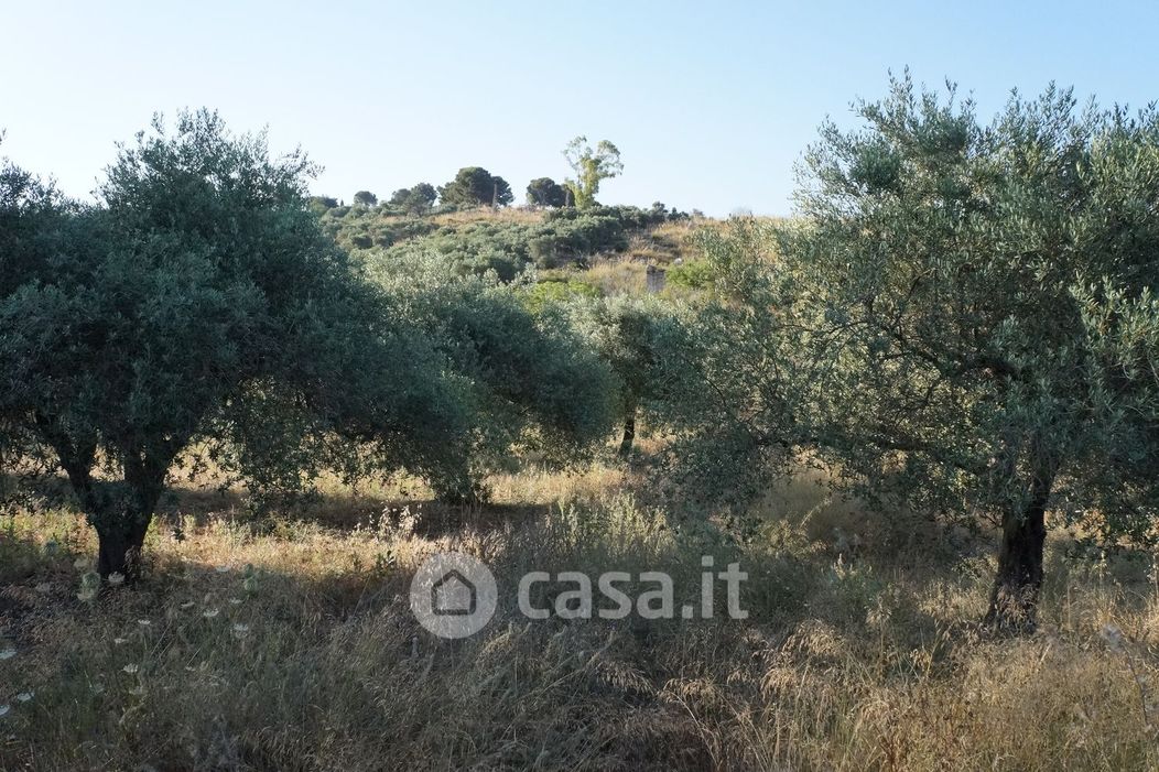 Terreno edificabile in Vendita in Contrada Valle Corvo a Casteldaccia
