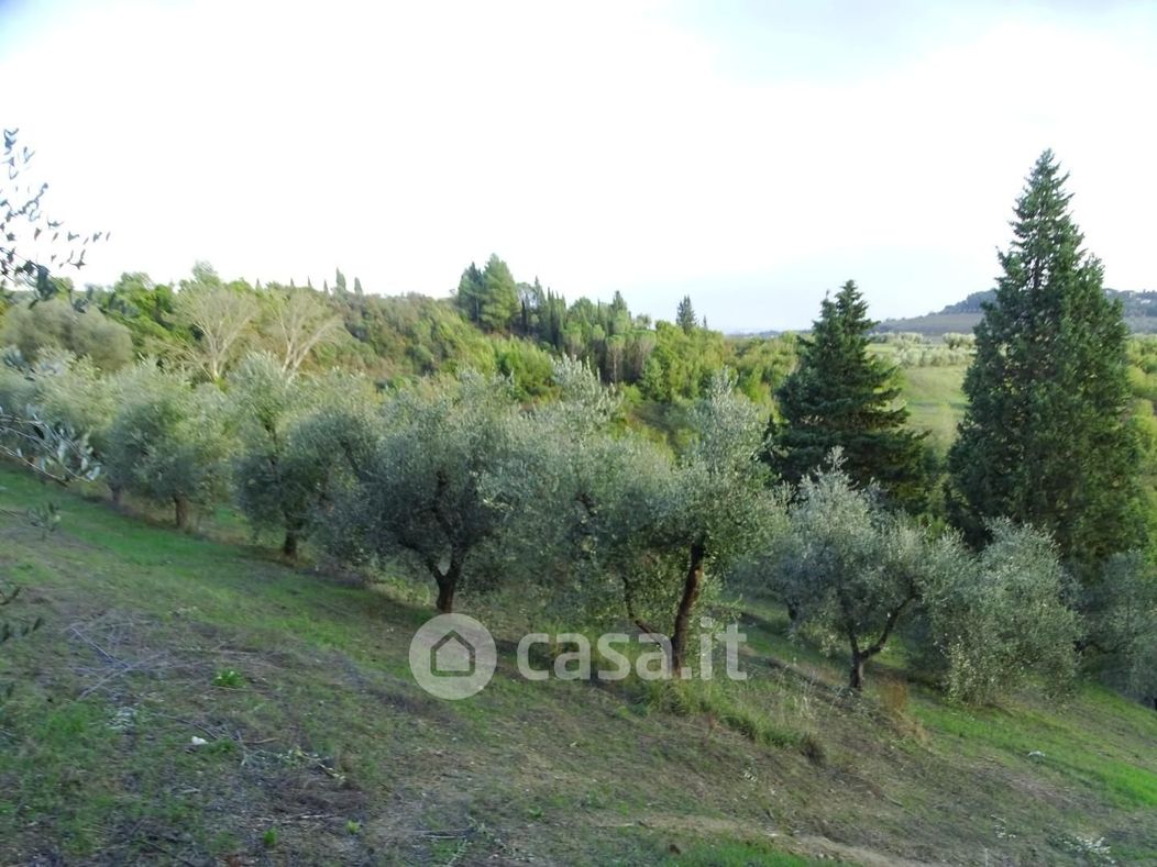 Terreno agricolo in Vendita in Via Montegrappa a San Miniato
