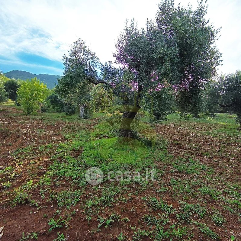 Terreno agricolo in Vendita in Località Salvia a Palombara Sabina