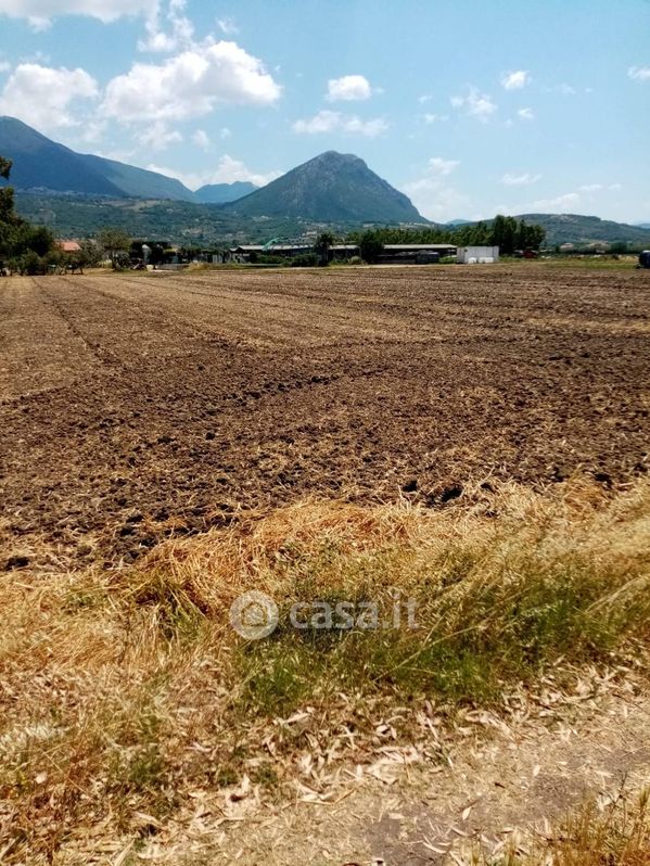 Terreno agricolo in Vendita in a Capaccio Paestum