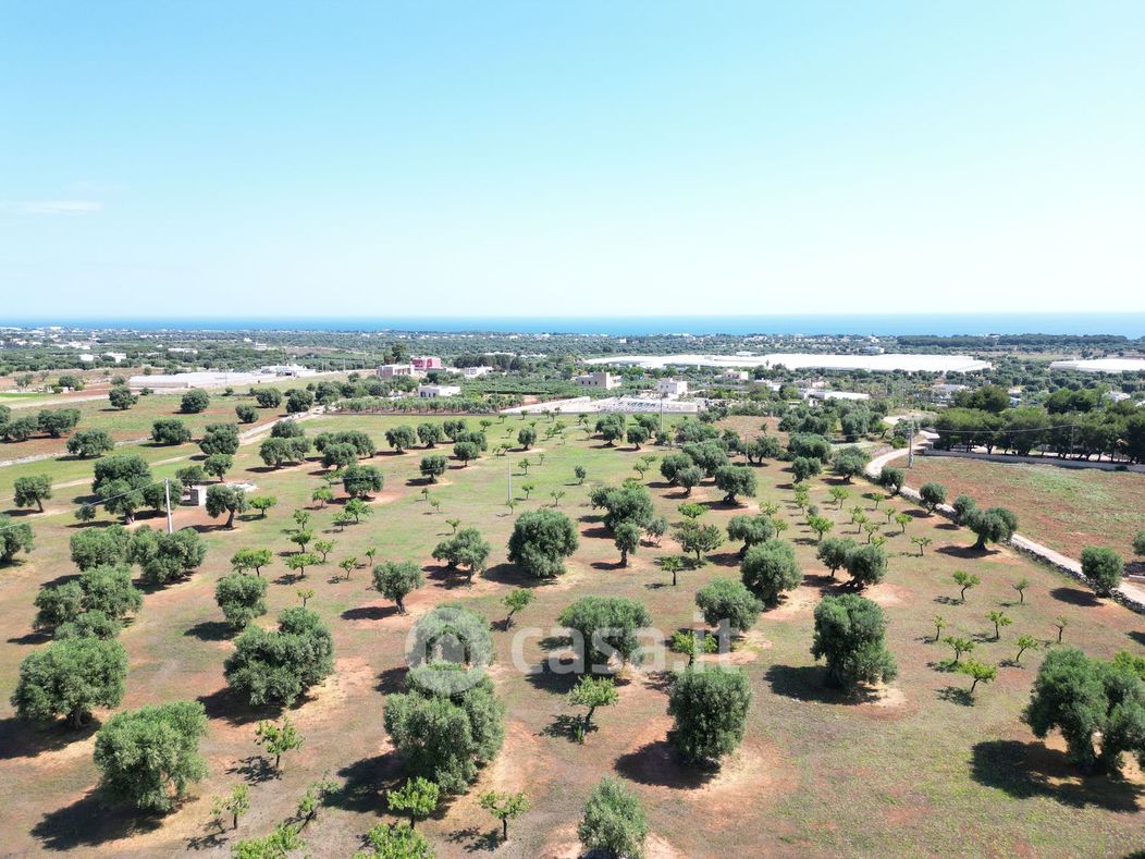 Terreno agricolo in Vendita in Contrada Stomazzelli a Monopoli