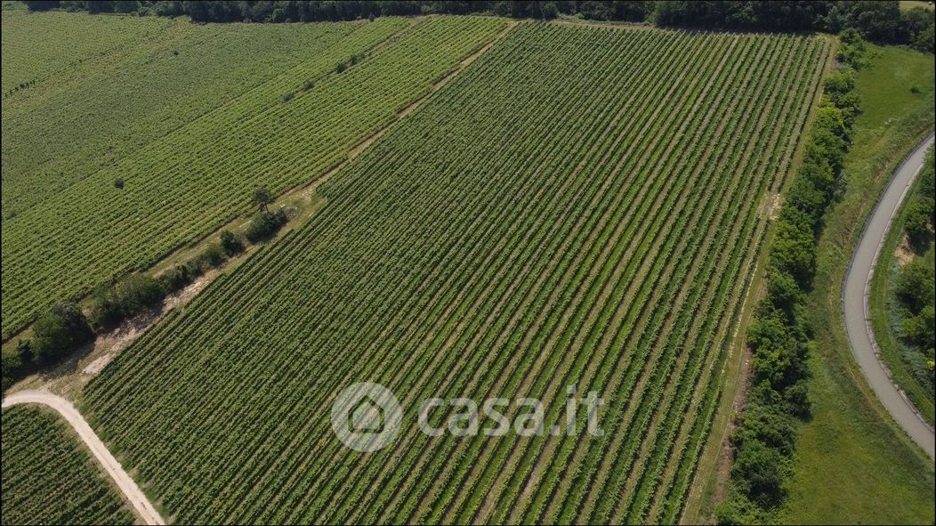 Terreno agricolo in Vendita in Via Custoza 10 a Villafranca di Verona