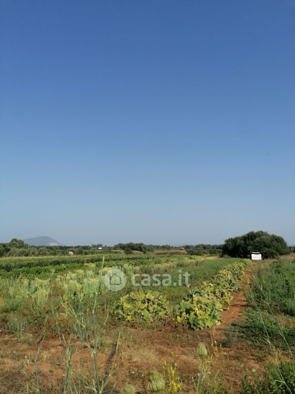 Terreno agricolo in Vendita in Mamuntanas a Alghero