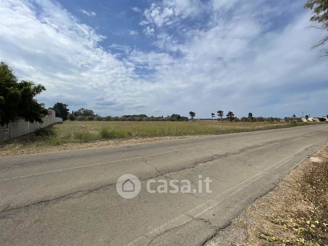 Terreno agricolo in Vendita in Strada Provinciale Frigole San Cataldo 140 a Lecce