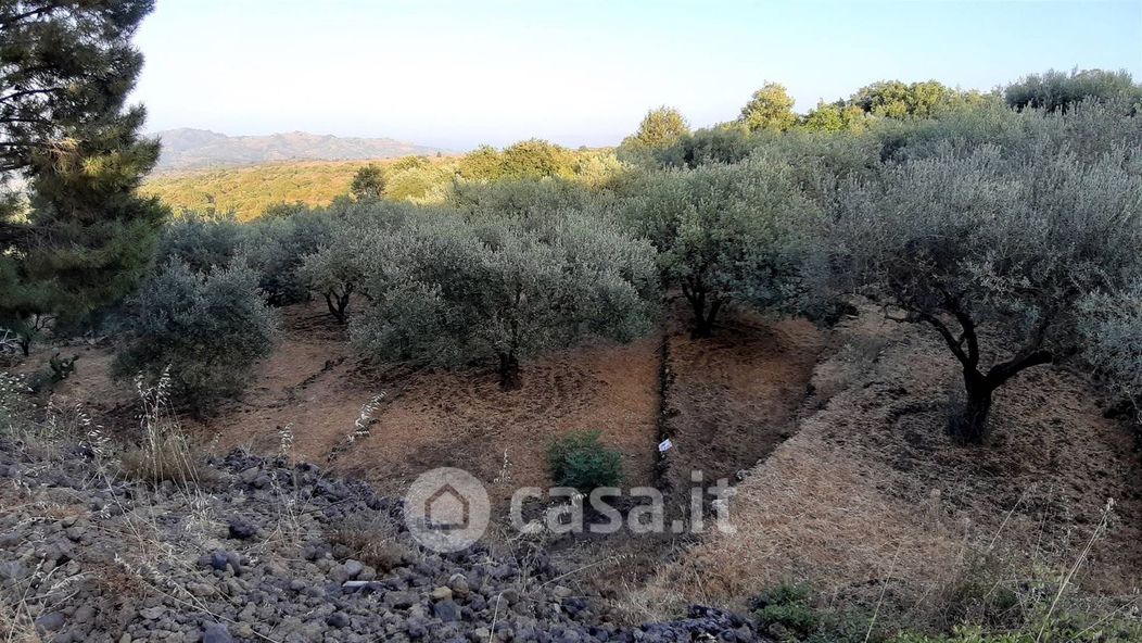 Terreno agricolo in Vendita in a Castiglione di Sicilia