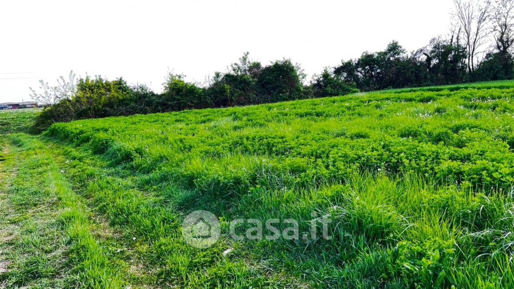 Terreno agricolo in Vendita in Via Aldo Moro a Bottanuco