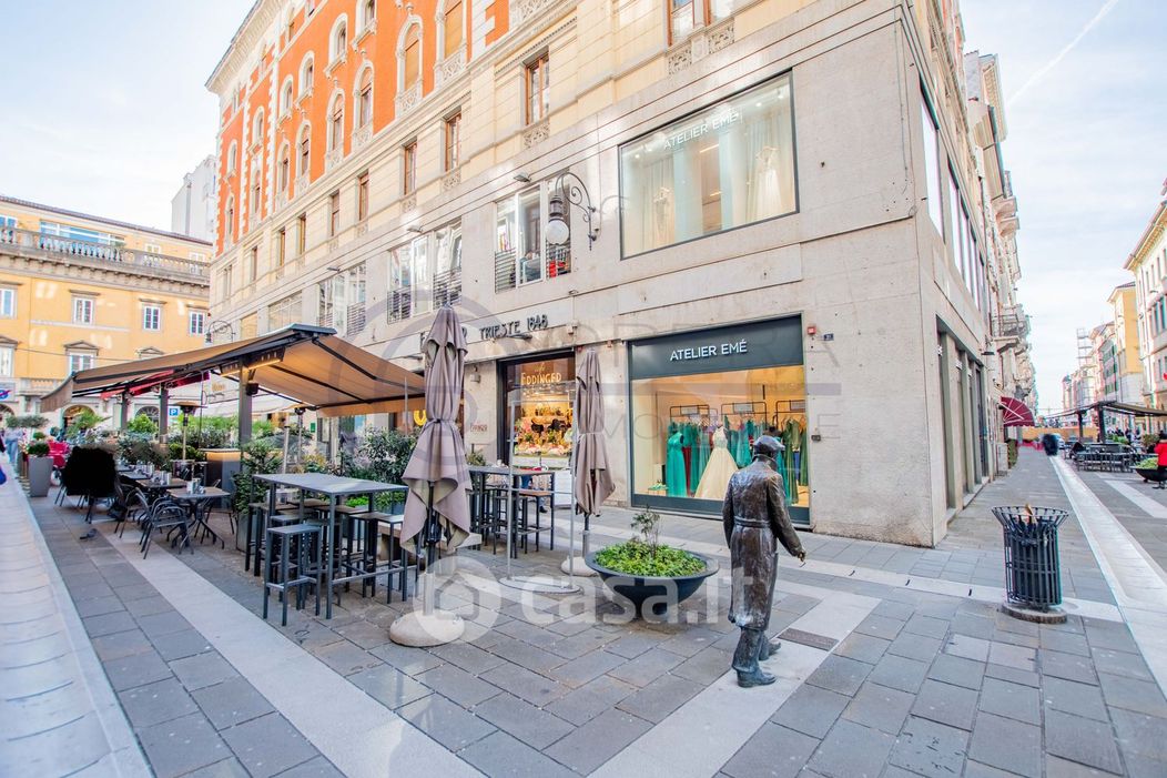 Negozio/Locale commerciale in Affitto in Via Dante Alighieri 2 a Trieste