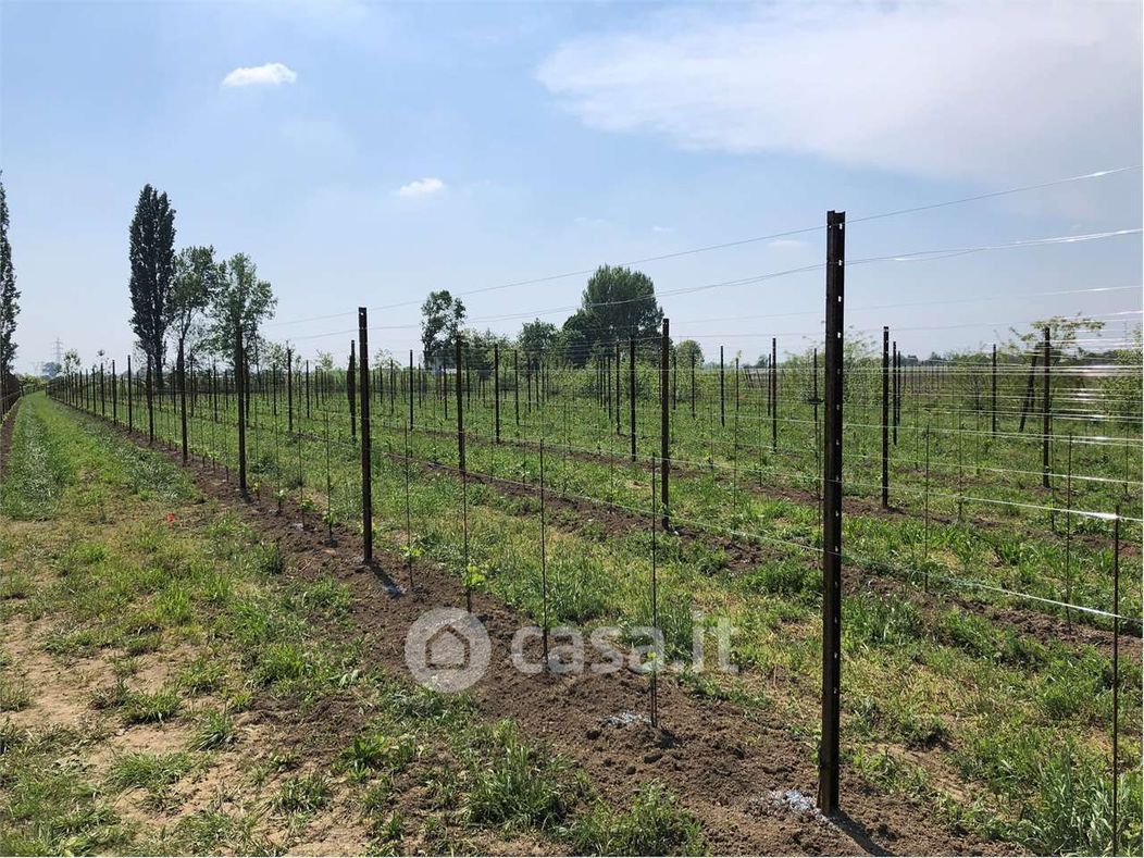 Terreno agricolo in Vendita in Via Alessandro Manzoni 1 a Sacile