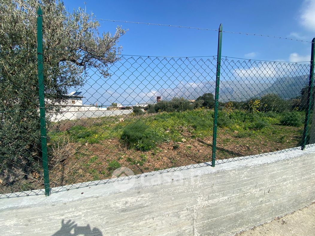 Terreno agricolo in Vendita in C7da Serra a Terrasini
