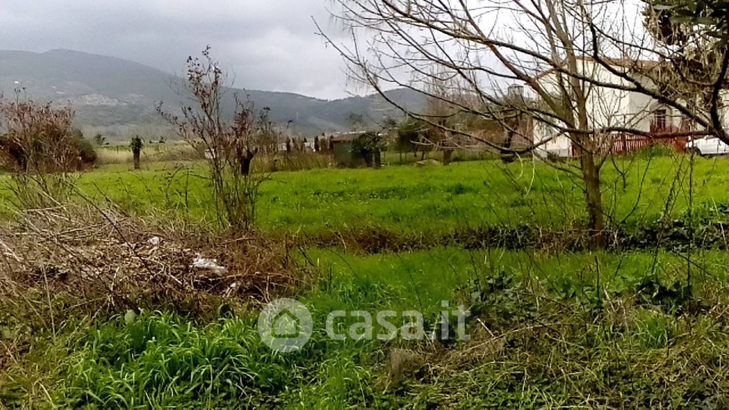 Terreno agricolo in Affitto in Via Paolo Savi Sud a Cascina