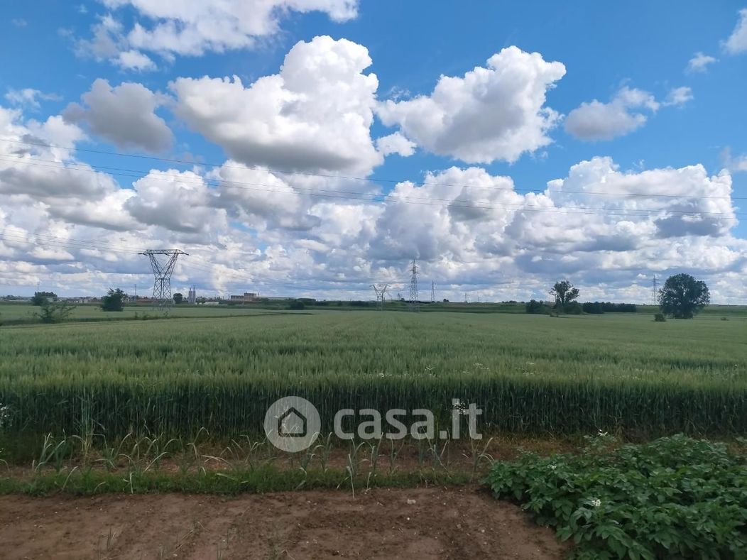 Terreno agricolo in Vendita in a Santa Croce sull'Arno