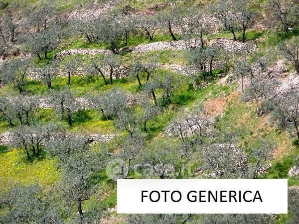 Terreno agricolo in Vendita in a San Giuliano Terme