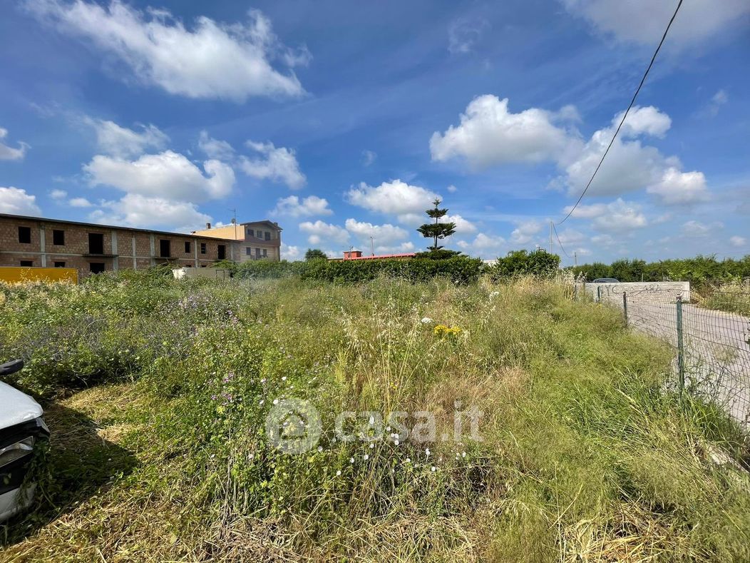 Terreno agricolo in Affitto in Via Arco Sant' Antonio a Giugliano in Campania