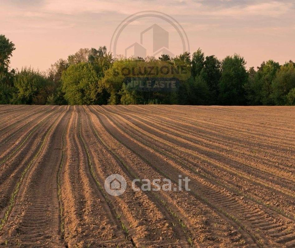 Terreno agricolo in Vendita in Via Novara a Nova Milanese