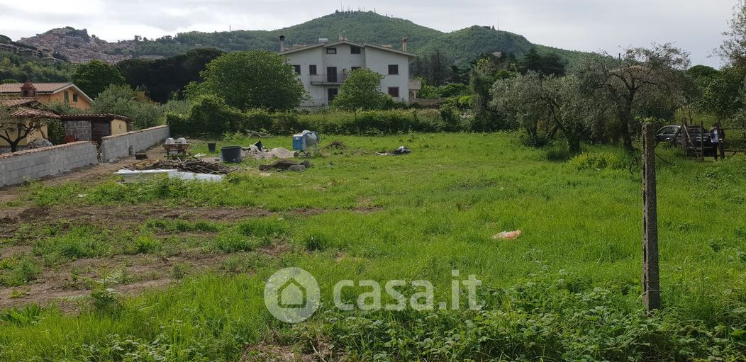 Terreno agricolo in Vendita in Via delle Calcare 35 a Rocca di Papa