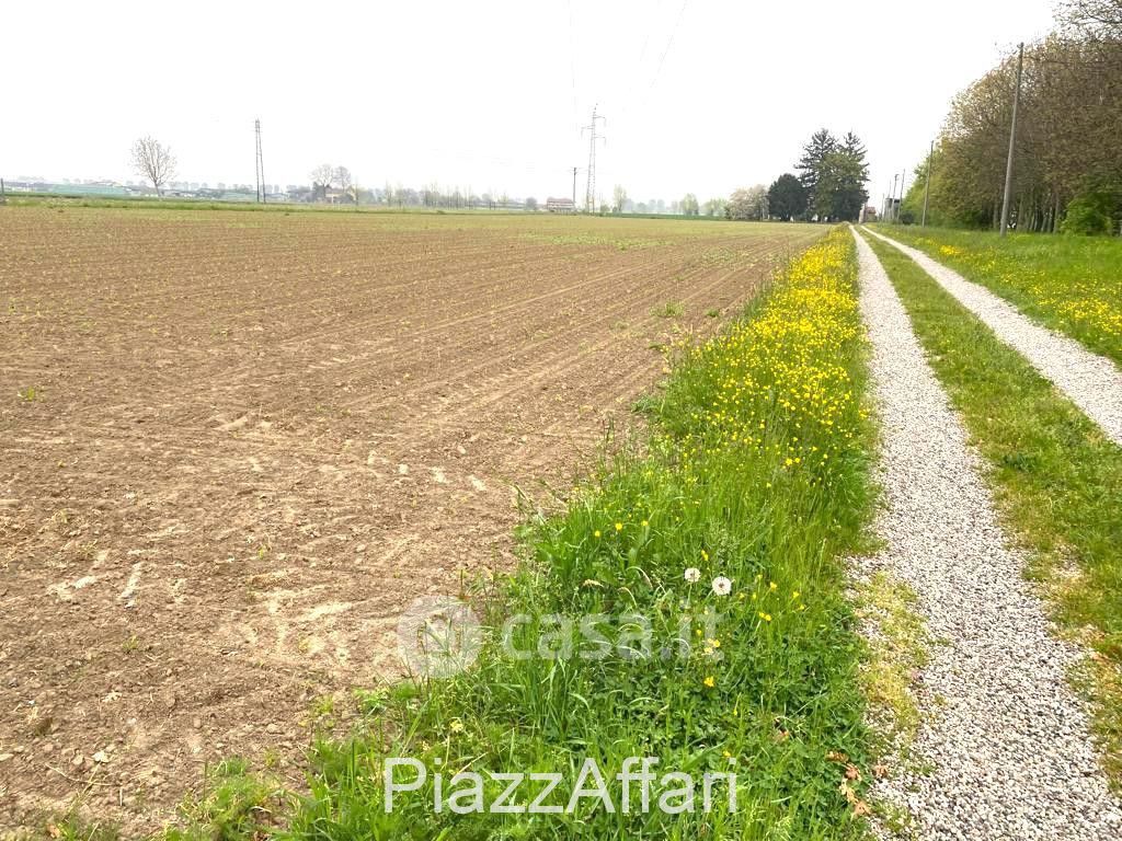 Terreno agricolo in Vendita in Via Roma a Brugine