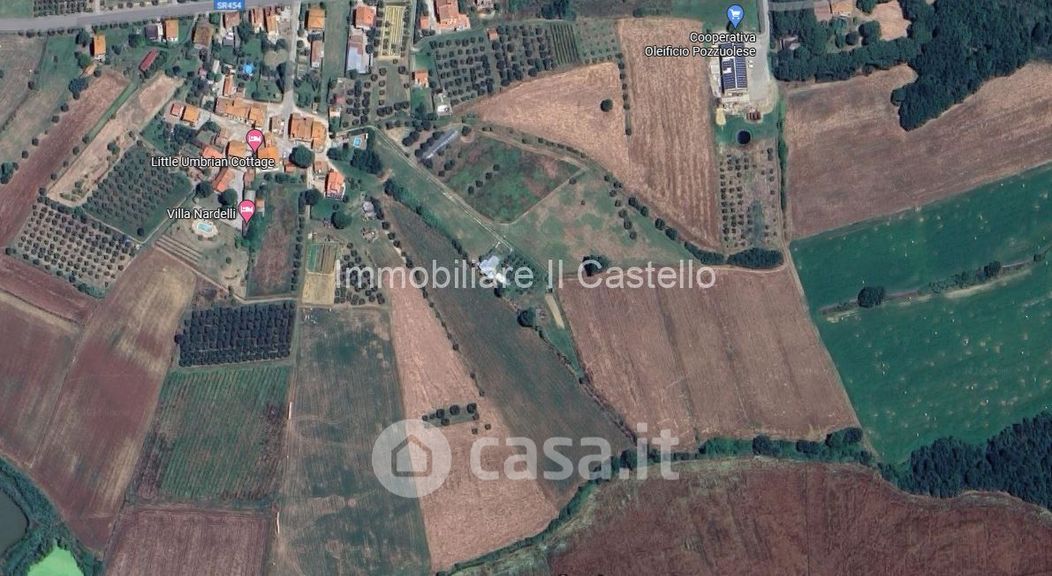 Terreno agricolo in Vendita in Località Nardelli a Castiglione del Lago