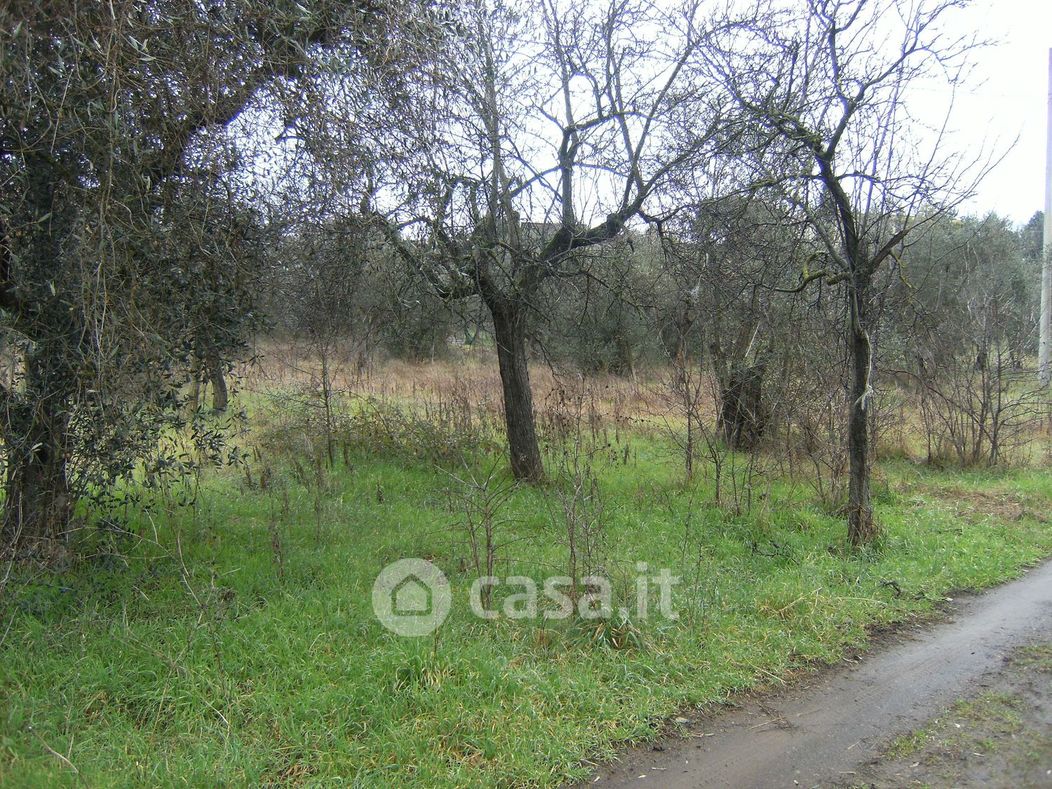 Terreno agricolo in Vendita in Strada Cassia Sud a Viterbo