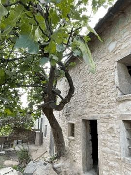 Rustico/Casale in Vendita in a San Mauro di Saline