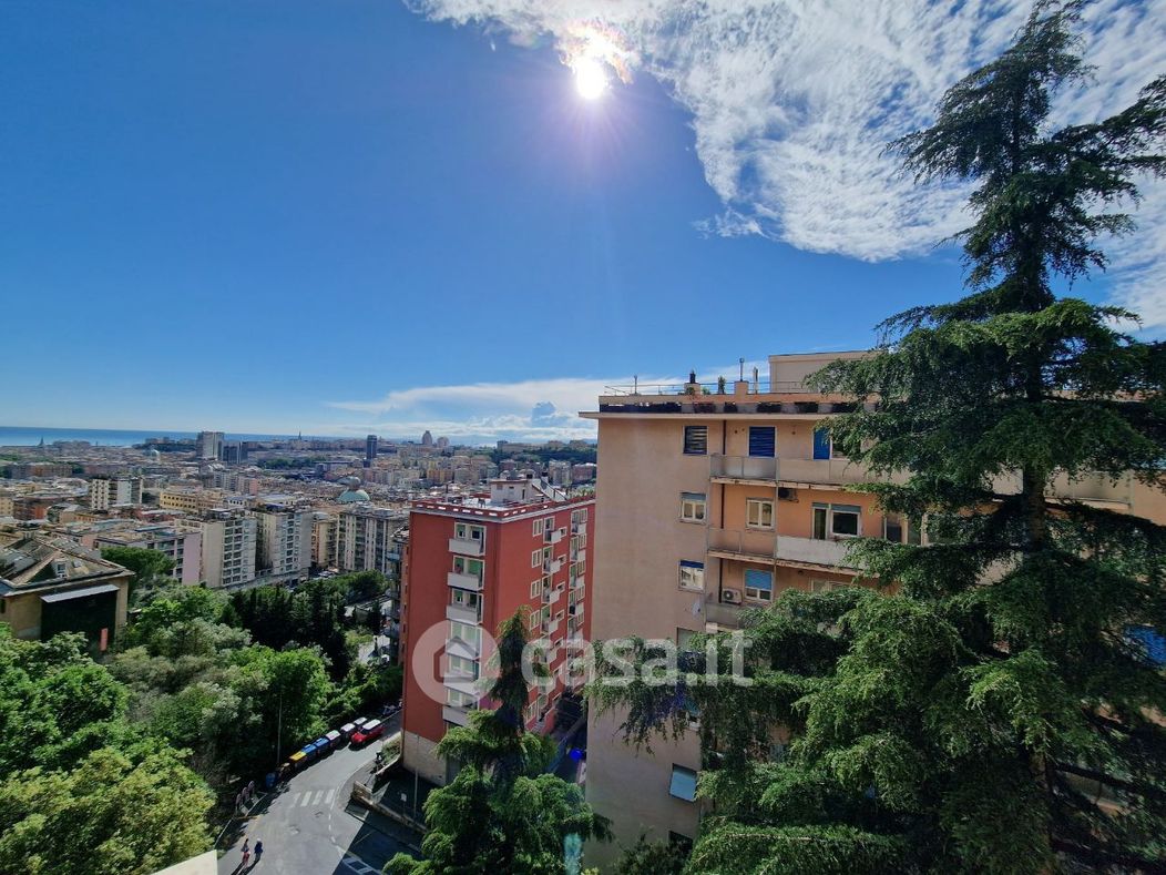 Appartamento in Vendita in Via Giovanni Amarena 27 a Genova