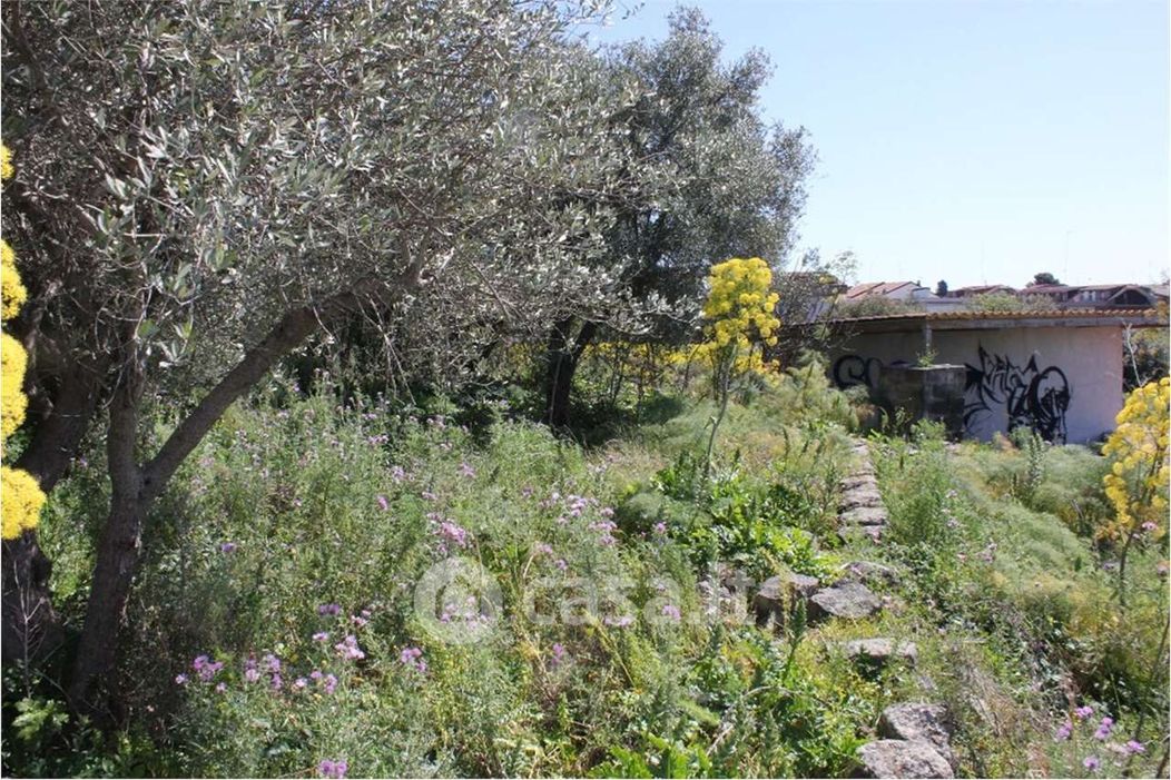 Terreno agricolo in Vendita in Via San Paolo 84 a Gravina di Catania