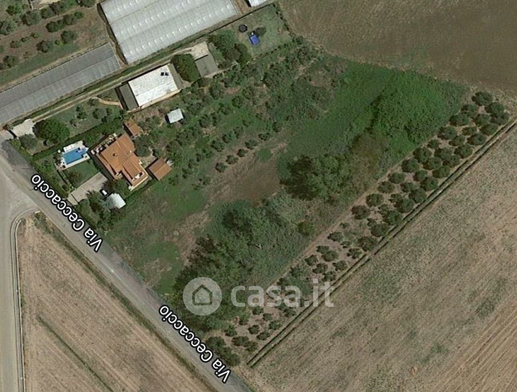 Terreno agricolo in Vendita in Via ceccaccio a Terracina